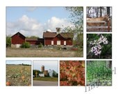 In the Heartland - 8x10 Storyboard of the Midwestern United States