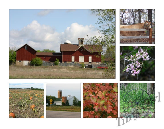 In the Heartland - 8x10 Storyboard of the Midwestern United States