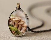 Mushroom Pendant, Mushroom Jewelry, Mushroom Necklace, Wearable Art Jewelry, Photo Pendant Necklace, Photo Jewelry, Art Pendant
