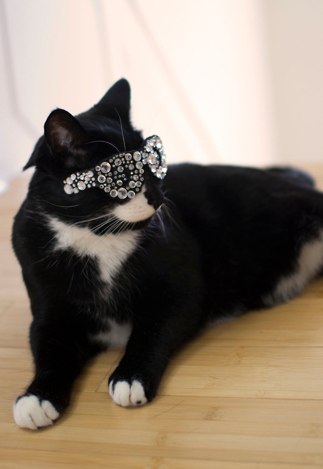 Bling Glasses for Cats