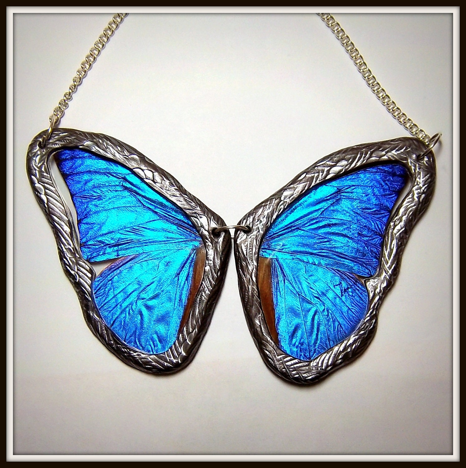 Blue Morpho Necklace Real Butterfly Wing ENTIRE BUTTERFLY REVERSIBLE Two Sided Necklace