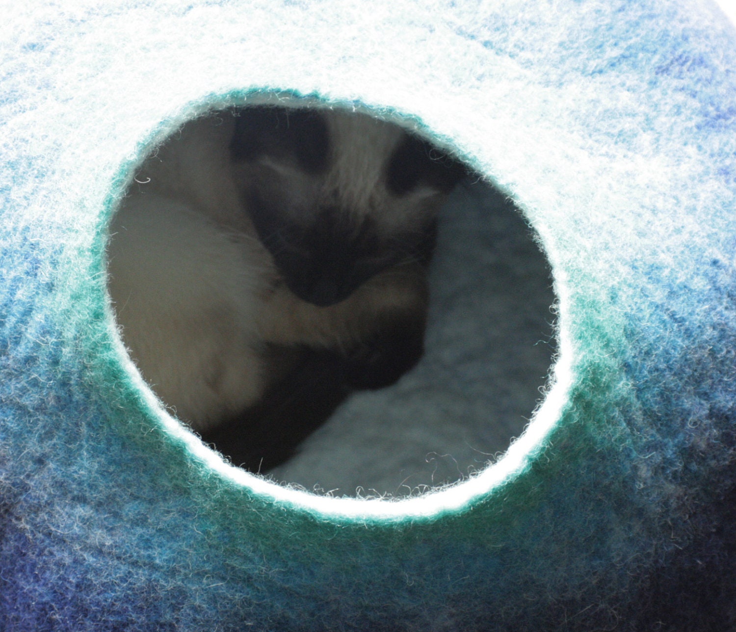 Cat Nap Cocoon / Cave / Bed / House / Vessel - Hand Felted Wool - Crisp Contemporary Design - READY TO SHIP Teal to Blue Bubble
