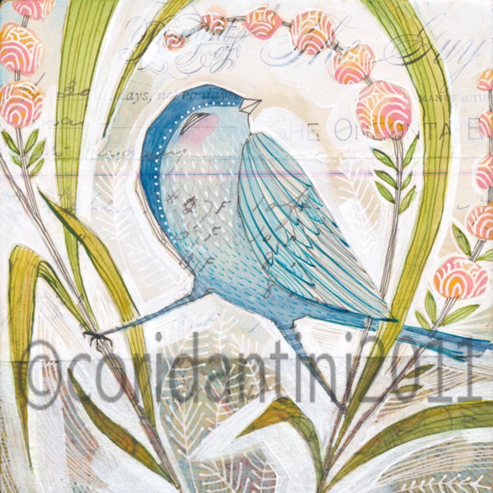glory days - blue bird - 8 x 8 - cori dantini - limited edition archival print - cori dantini