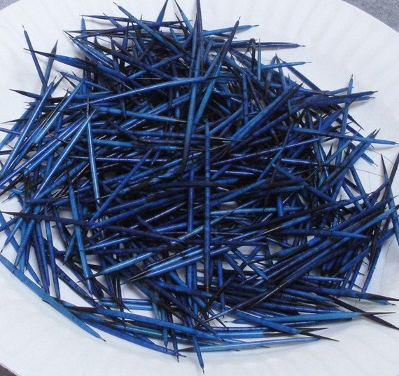 blue porcupine