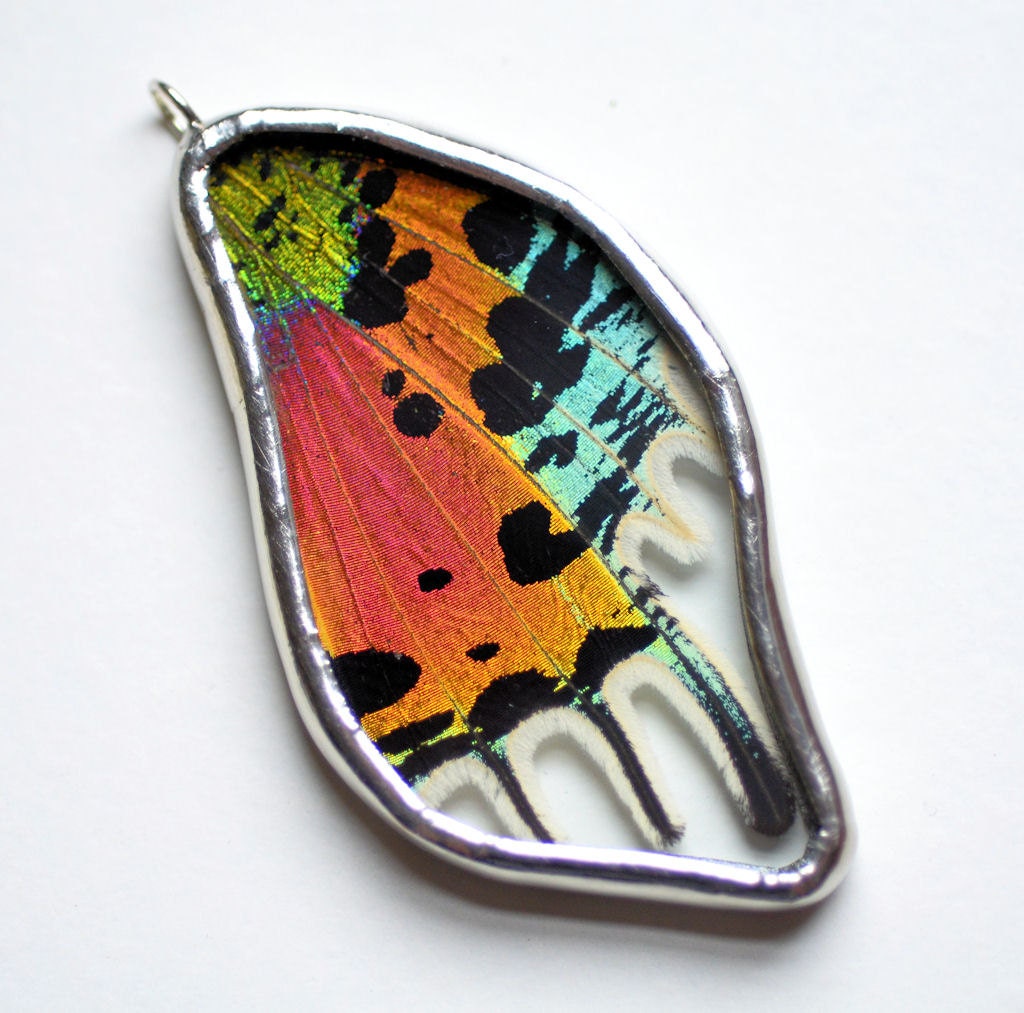 Real Sunset Moth Wing Necklace