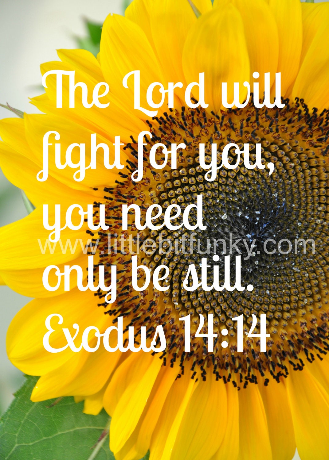 the Lord will fight for you - digital file
