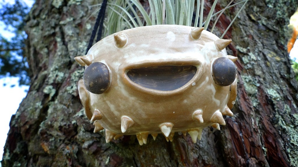 Hand-thrown ceramic Fugu Fish hanging planter