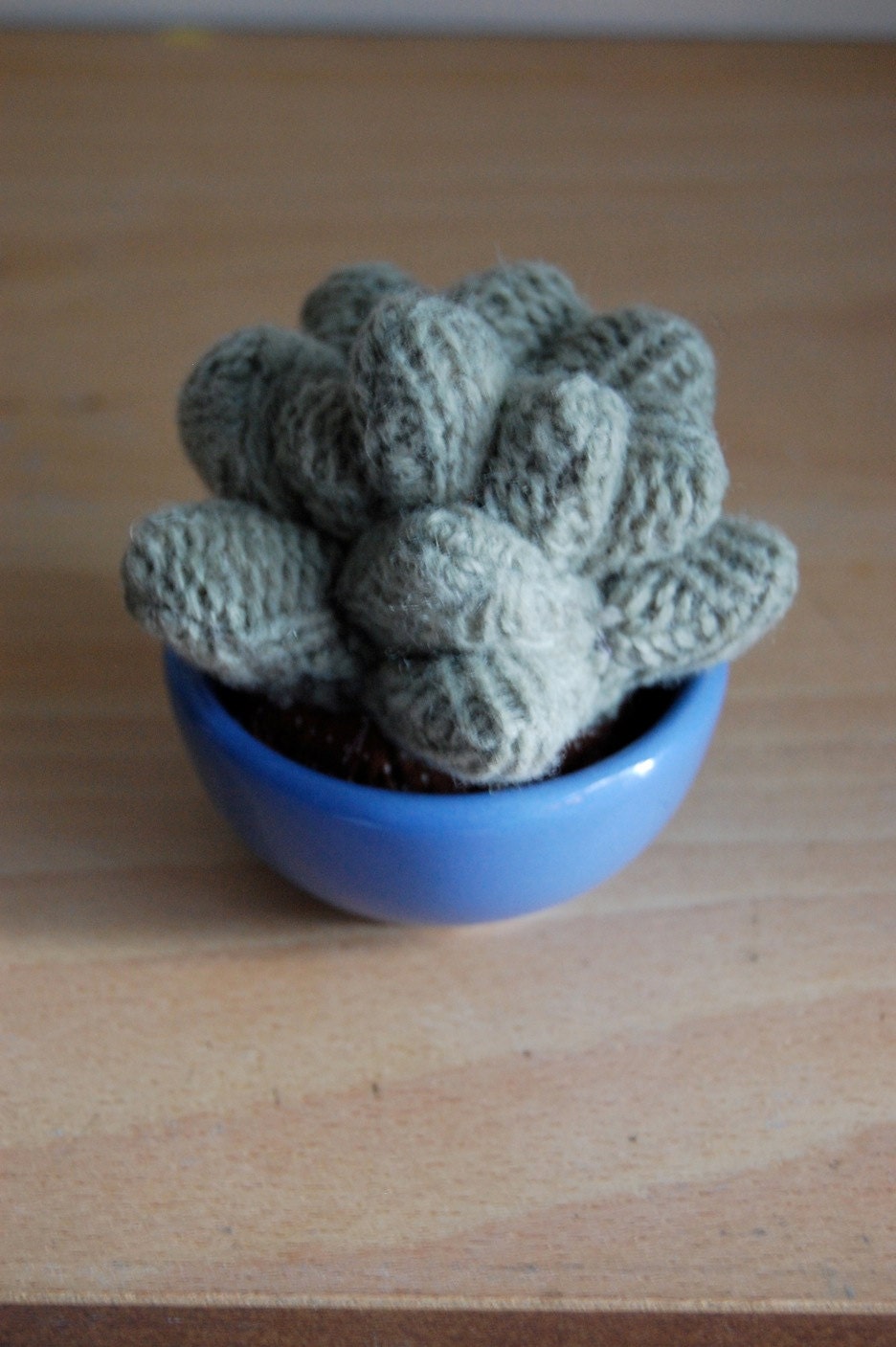 SALE Sweater Succulent