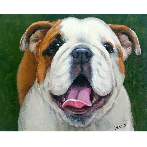 English Bulldog Original Painting by Dottie Dracos, Looking Up, on Green, 11x14 canvas