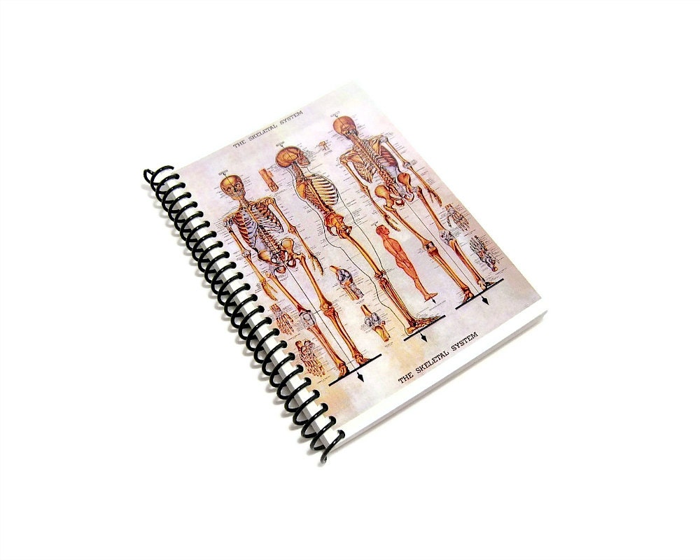 The Skeletal System - Spiral Bound Notebook (4 x 6)
