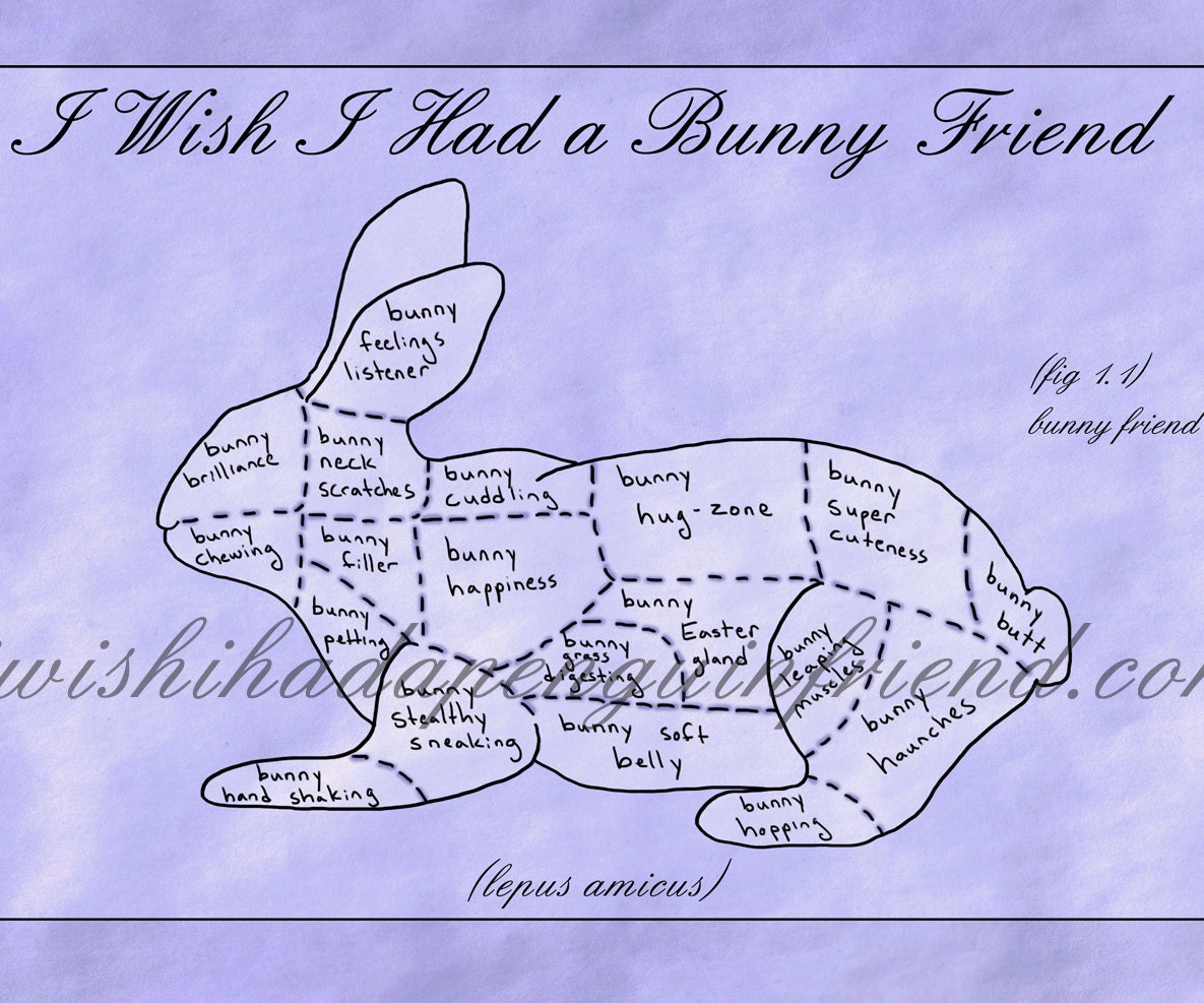 I wish i had a bunny friend large print
