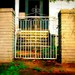 Gate: fine art photograph print of brick and wrought iron architecture at entrance of Southern home