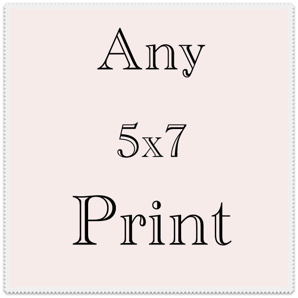 Print of your choice 5x7