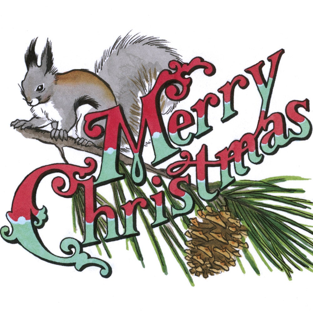 CHRISTMAS SQUIRREL blank holiday cards, set of 6
