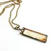 Fairy Wing Glass Specimen Locust Wing Pendant Necklace