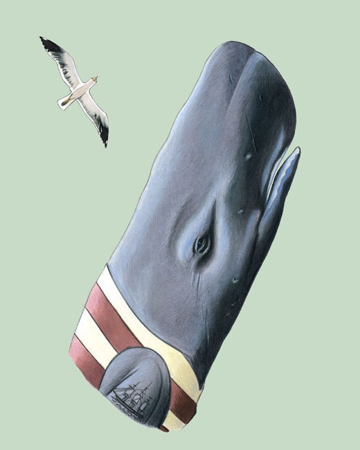 Sperm Whale art print 8x10