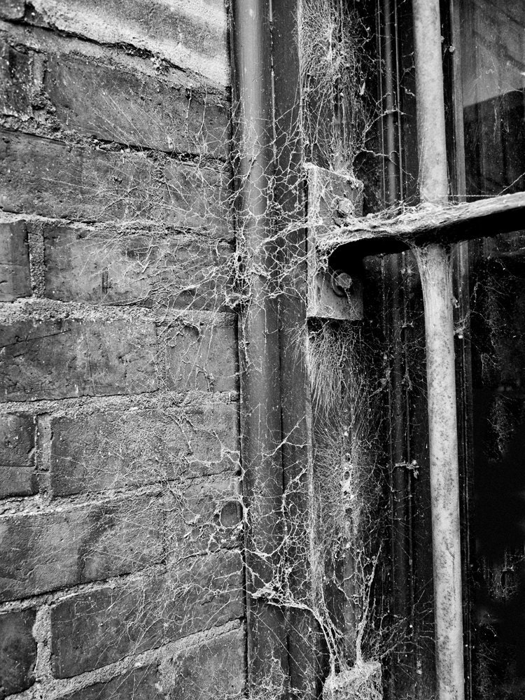 Cobwebs - Nashville Riverfront - 9 x 12 inch Black and White Photograph