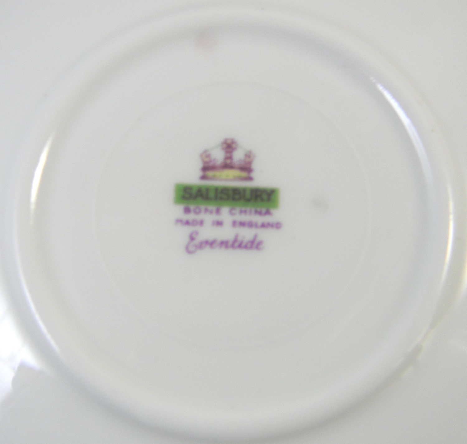 Vintage tea cup, Salisbury c1927 Eventide Puple Floral Cup and saucer, English