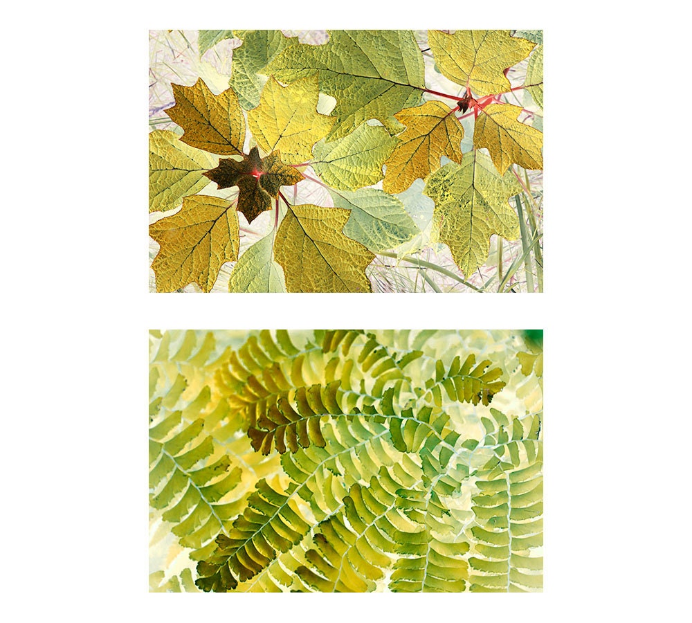 Two Abstract  Foliage Photographs Set, Fern Photo, Gold Green Wall Decor