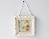 Framed Pink Daisy Photograph, Floral  Wall Decor, Soft Focus Shabby Chic Fine Art Print