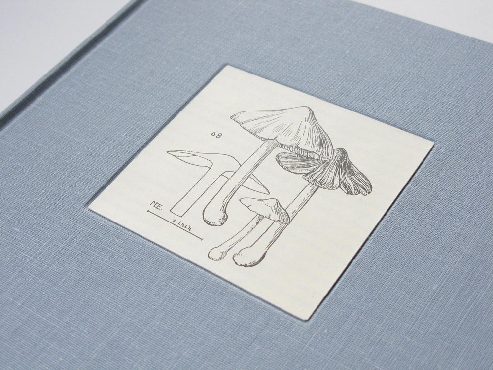 The Mushroom Collector - One of a Kind Hand-bound Hardcover Journal