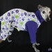 Italian Greyhound Organic Cotton Interlock Ooga Booga Fiesta Knit Dog Jammies-medium 15