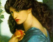 Persephone Undone Perfume Oil - Pomegranate Apple Black Raspberry Musk Amber Vanilla 10ml Amber Roll On
