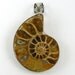 Ammonite Pendant - Fossil Tan Brown Silver