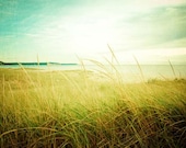 dreamy landscape . summer beach photography . nature print . coastal cottage decor . 11x14 . large photograph . aqua . I Dreamt of the Beac