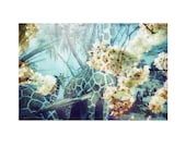 Giraffe . Flora and Fauna Series . 8x10 Print
