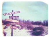 Photography Polaroid Beach Yoga Surfing Vintage Art 4x5 Print