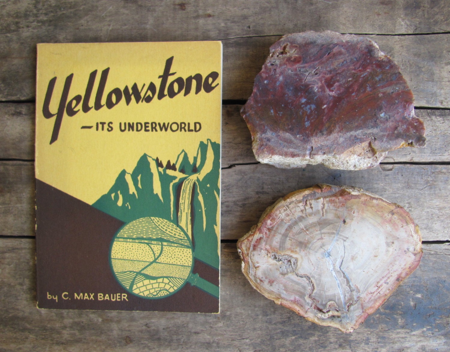 instant collection of vintage 1950s Yellowstone National Park souvenirs // book, petrified wood, fossil