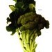 Vintage Print - Broccoli, Brussels Sprouts - Book Plate - 1965