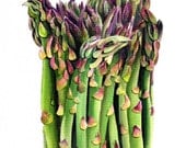 Asparagus Painting - Mixed Media Original - Commissioned Work