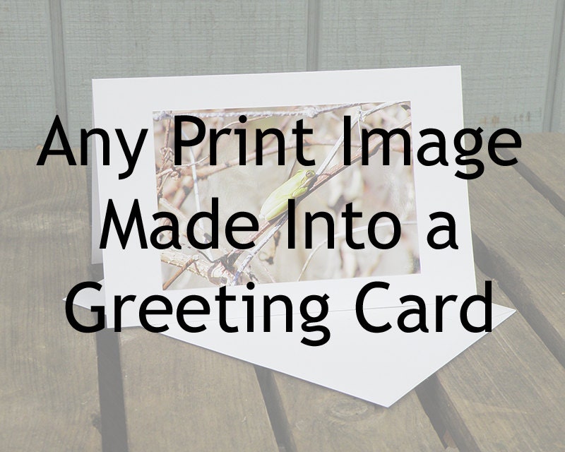 5 1/2 by 8 1/2 inch Greeting Card - Choose from any Print Image