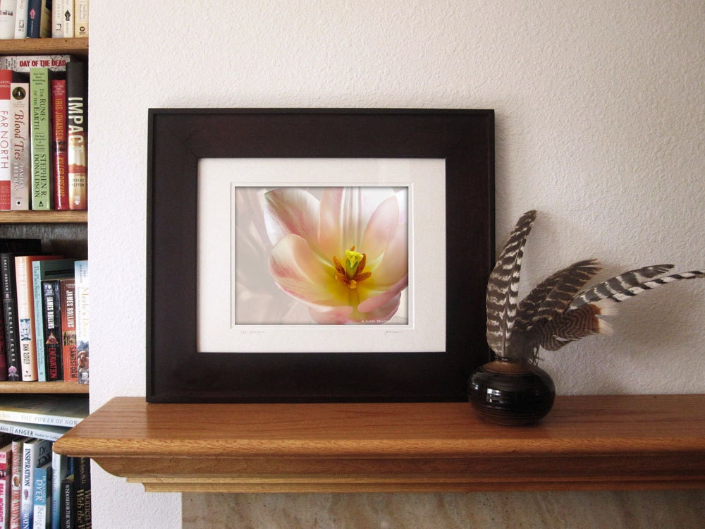 Flower Photography -Pink Tulip -8x10 Print -Home Decor Art -Pale Pink -Spring Flower -Gifts for Her -Colorado Fine Art Photography