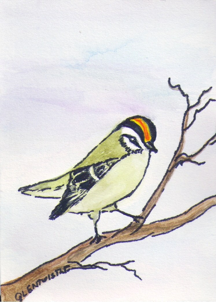 Golden Crowned Kinglet Ink and Watercolor original ACEO