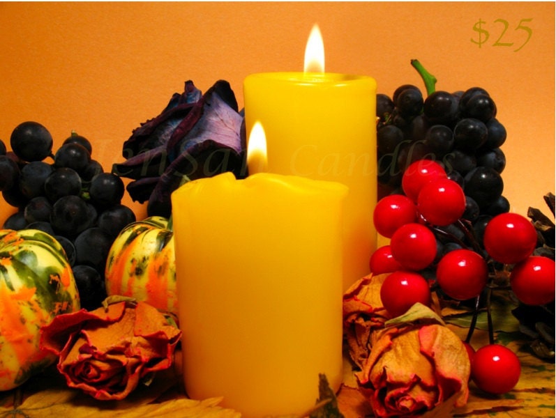 25 Dollars JenSan Candles Bath and Beauty Aromatherapy Gift Certificate
