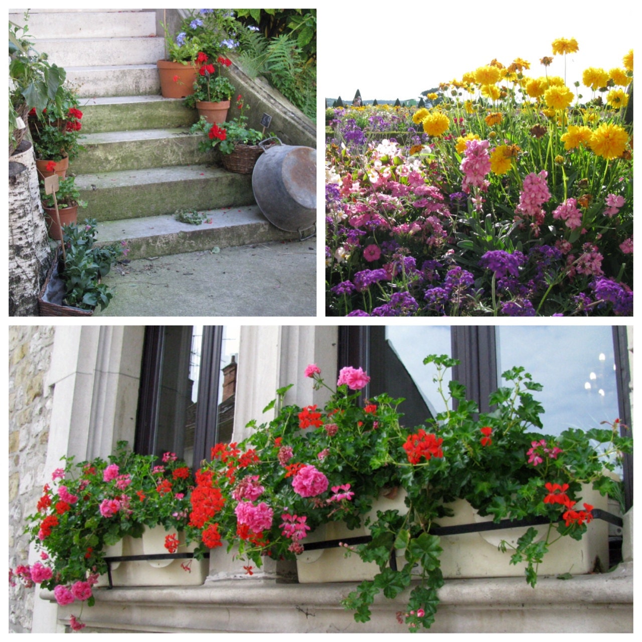 Les Jardins - a set of 6 photo card featuring various gardens in France