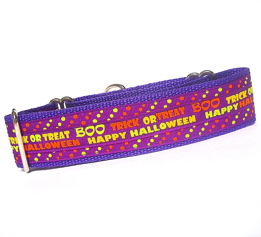 Halloween Martingale Dog Collar with Trick-R-Treat