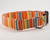 Orange and Red Striped Dog Collar