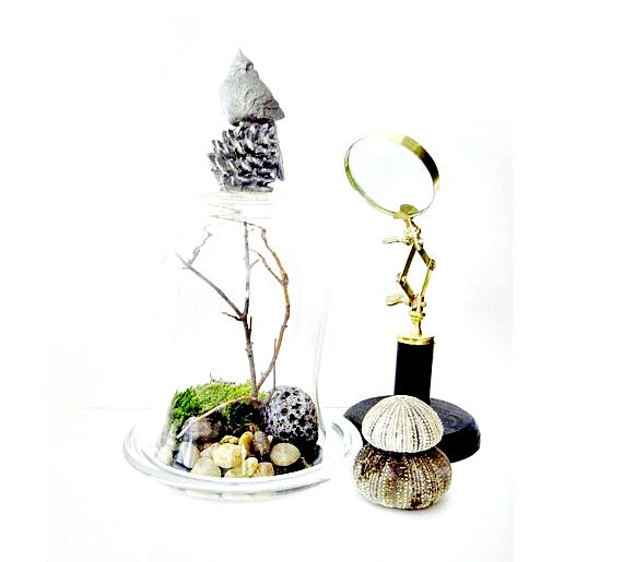 Large Bird Cloche Terrarium II - Glass Bell Jar & Northern Cardinal Songbird Finial with Live Moss Home Decor