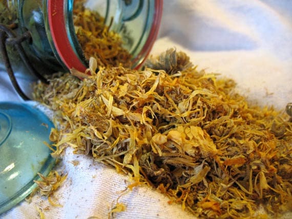 Organic Calendula Petals  1 Pound Bulk Organic Dried Herbs