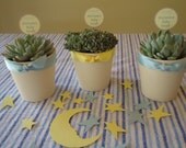 24 Succulent Plant Wedding Favors, Rosettes in 3" White Ceramic Pots for Wedding, Baby, Bridal Shower, Favor Box and Tag Options Available