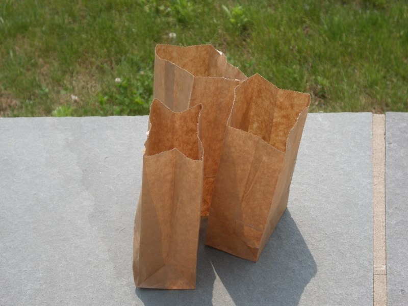 Small Brown Paper Bags Dollar Tree SEMA Data Coop