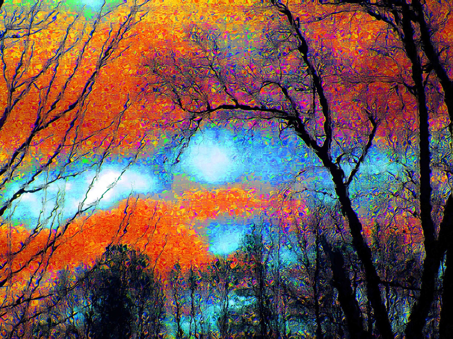 Fine Art Intensity 8x10 Abstract Tree Color Photograph