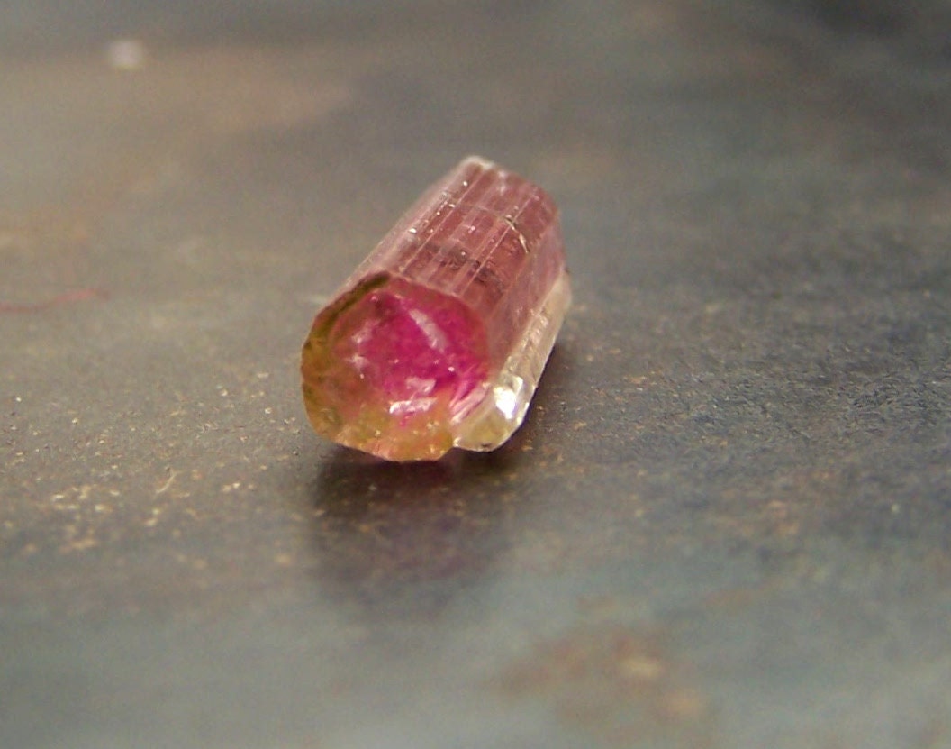 Tourmaline - Watermelon Tourmaline - natural specimen - pink green - bicolor - coyoterainbow - wire wrapping