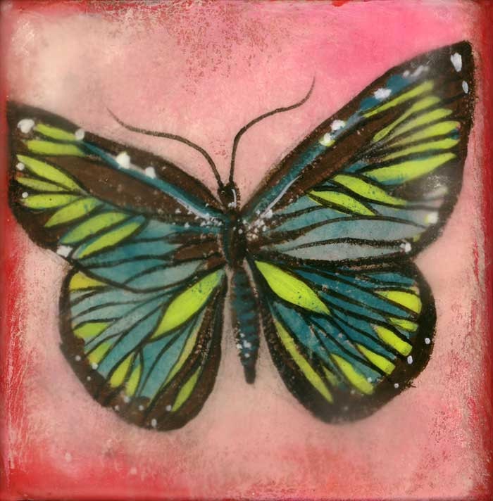 Butterfly Archival Print, Coracon