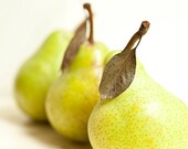 Food photo fruit - Pear Can Can - 8x10 kitchen art print - food photography kitchen decor orchard fall harvest