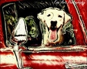 Labrador  dog in red truck  polaroid photography home decor office original photograph cute labrador retriever